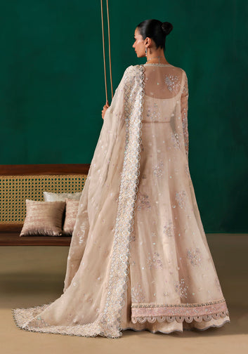3 Piece - Embroidered & Embellished Silk–Organza