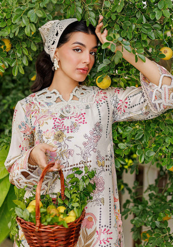Petaline Shirt and Dupatta