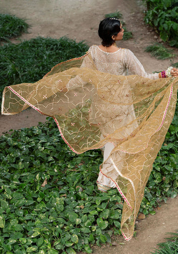 Mustard Sparkle Dupatta