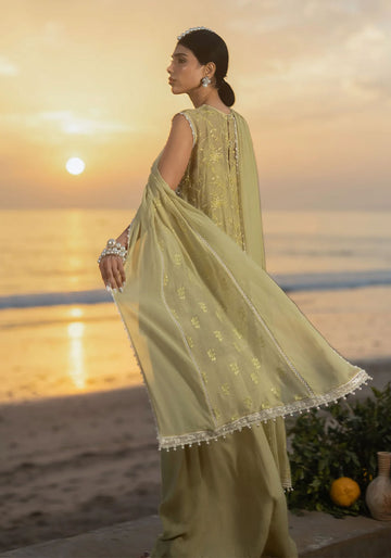 Lime Éclat Dupatta
