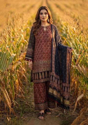 Brown & Black Printed Silk 3-Piece Suit with Contrast Dupatta
