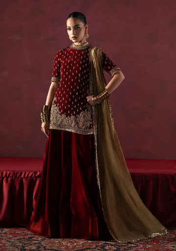Red And Gold Embroidered Velvet Sharara
