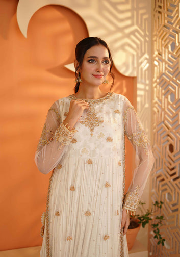 Ivory Net embroidery Crush Gown