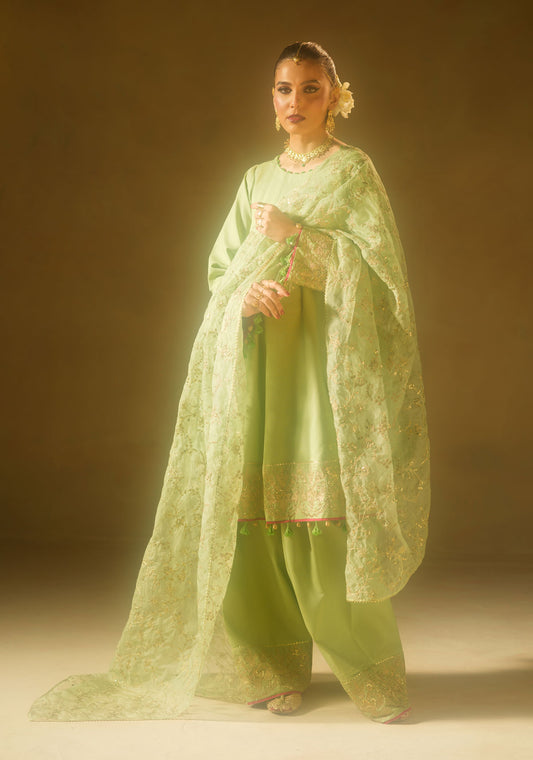 Pistachio Green Set