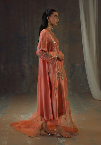 Peach Zari Long Full Set