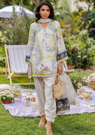Sunbeam Shirt and Dupatta