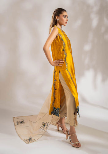 Turmeric - WITH SLEEVES