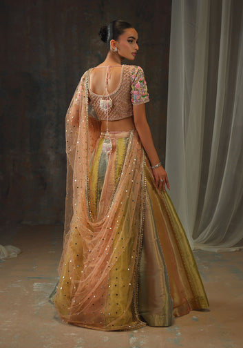 Setareh Lehnga