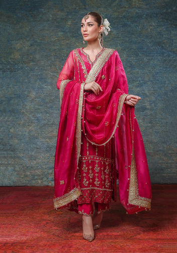 Organza Mukesh Long Kameez