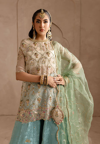 Organza Embellished Ivory Shirt