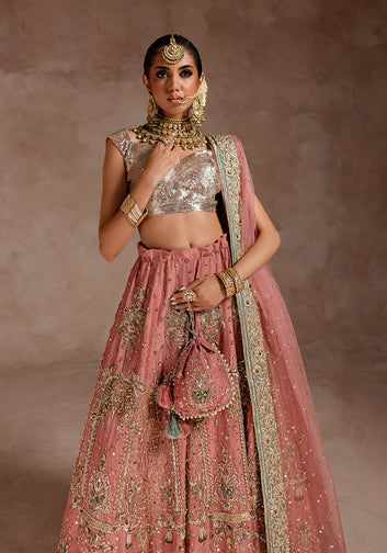 Exquisite Pink And Silver Bridal Ensemble