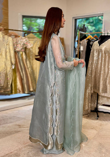 Stellaria In Tissue Organza With Dupata And Pants