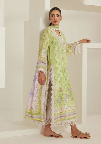Oriana Shirt And Dupatta