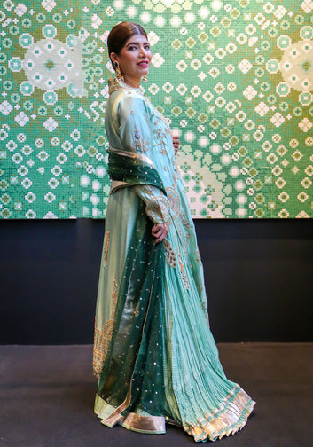 Mint Green Silk Crush Gown with Embroidered Net Dupatta