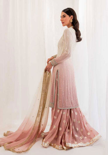 Amaani