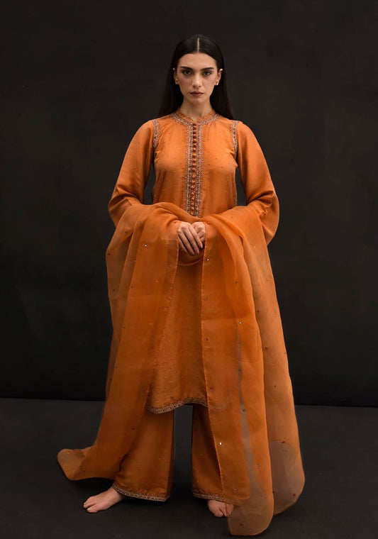 Embroidered Rust Ensemble