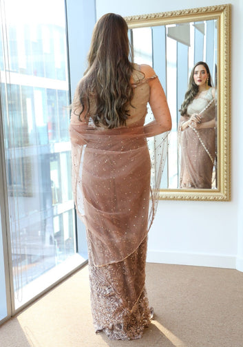 Brown Embellished Saree